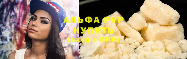 крисы Новозыбков