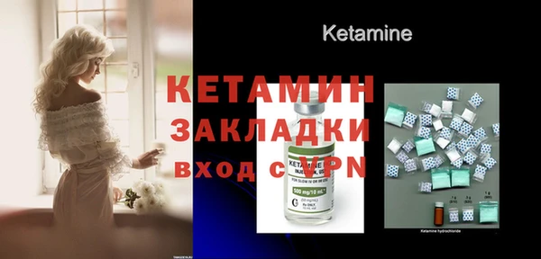 крисы Новозыбков