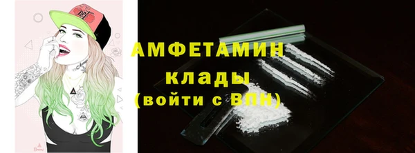 крисы Новозыбков