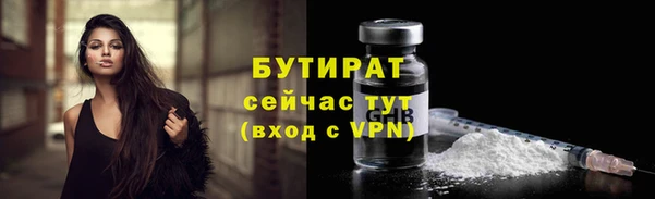 крисы Новозыбков