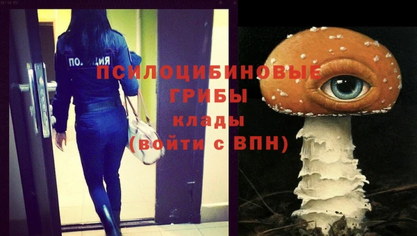 марки lsd Новодвинск