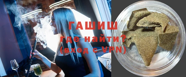 крисы Новозыбков