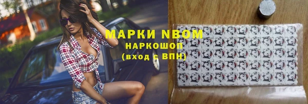 крисы Новозыбков
