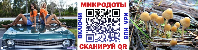 даркнет сайт  Надым  Псилоцибиновые грибы мицелий 