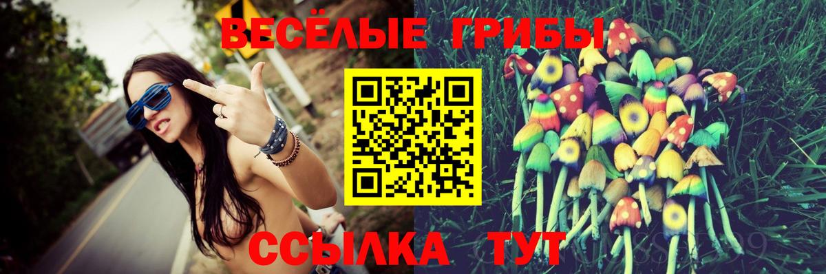 Галлюциногенные грибы мицелий Надым